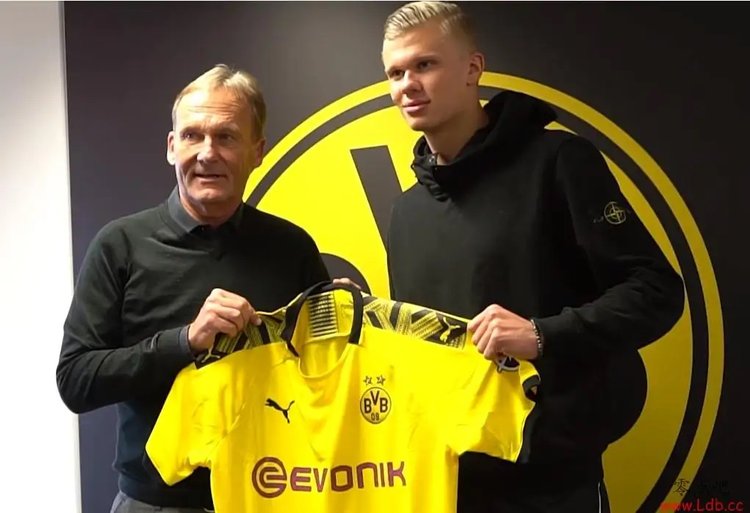 篮球NBA历史最佳扣篮榜更新